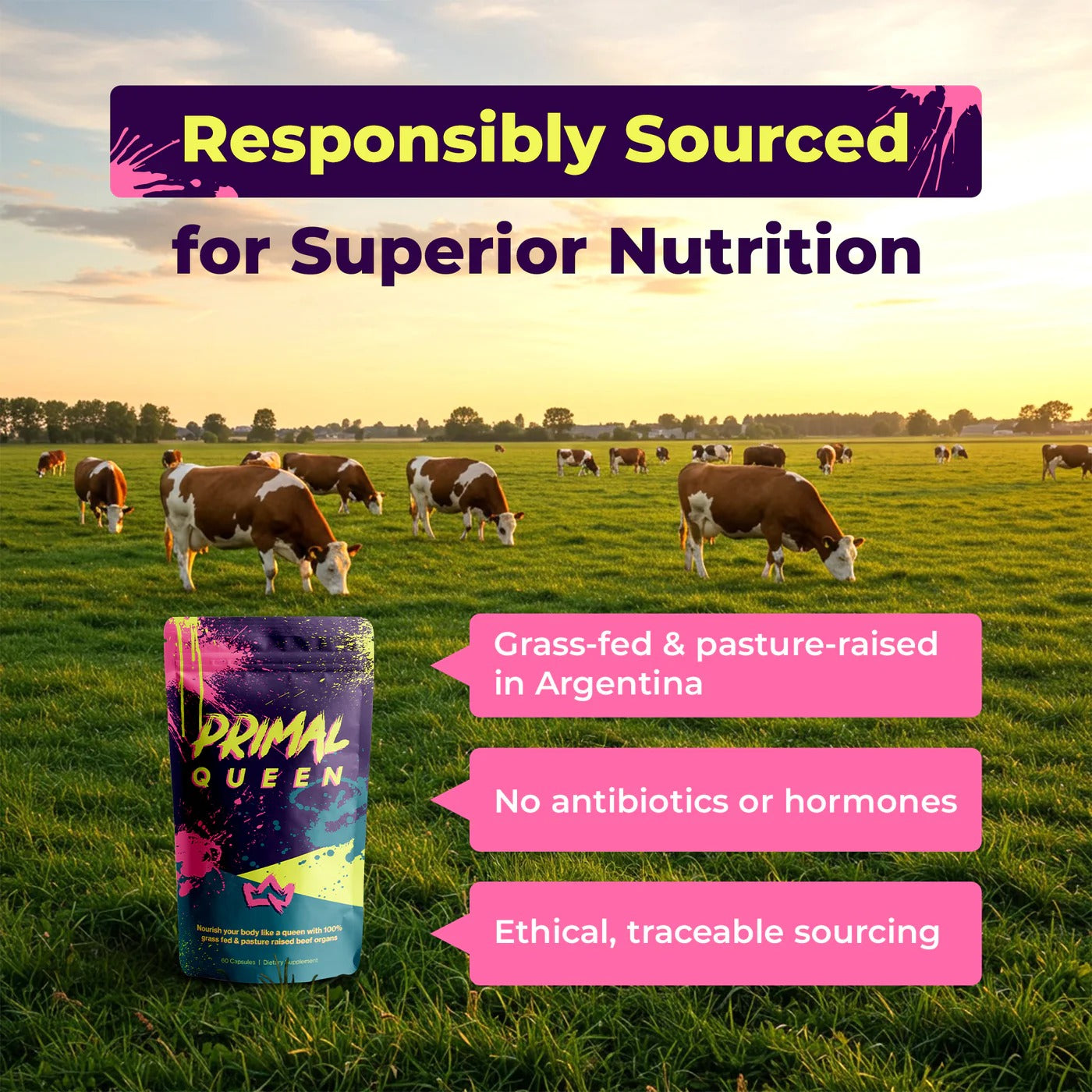 【Primal Queen Site】Clinically Studied Beef Organ Superfoods for women
